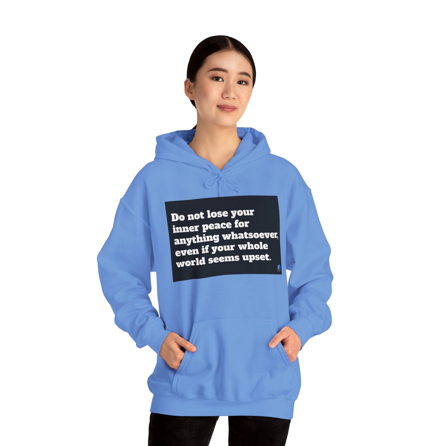 Back In Peace Unisex Heavy Blend ™ Hettegenser: Saint Francis de Sales Quotes