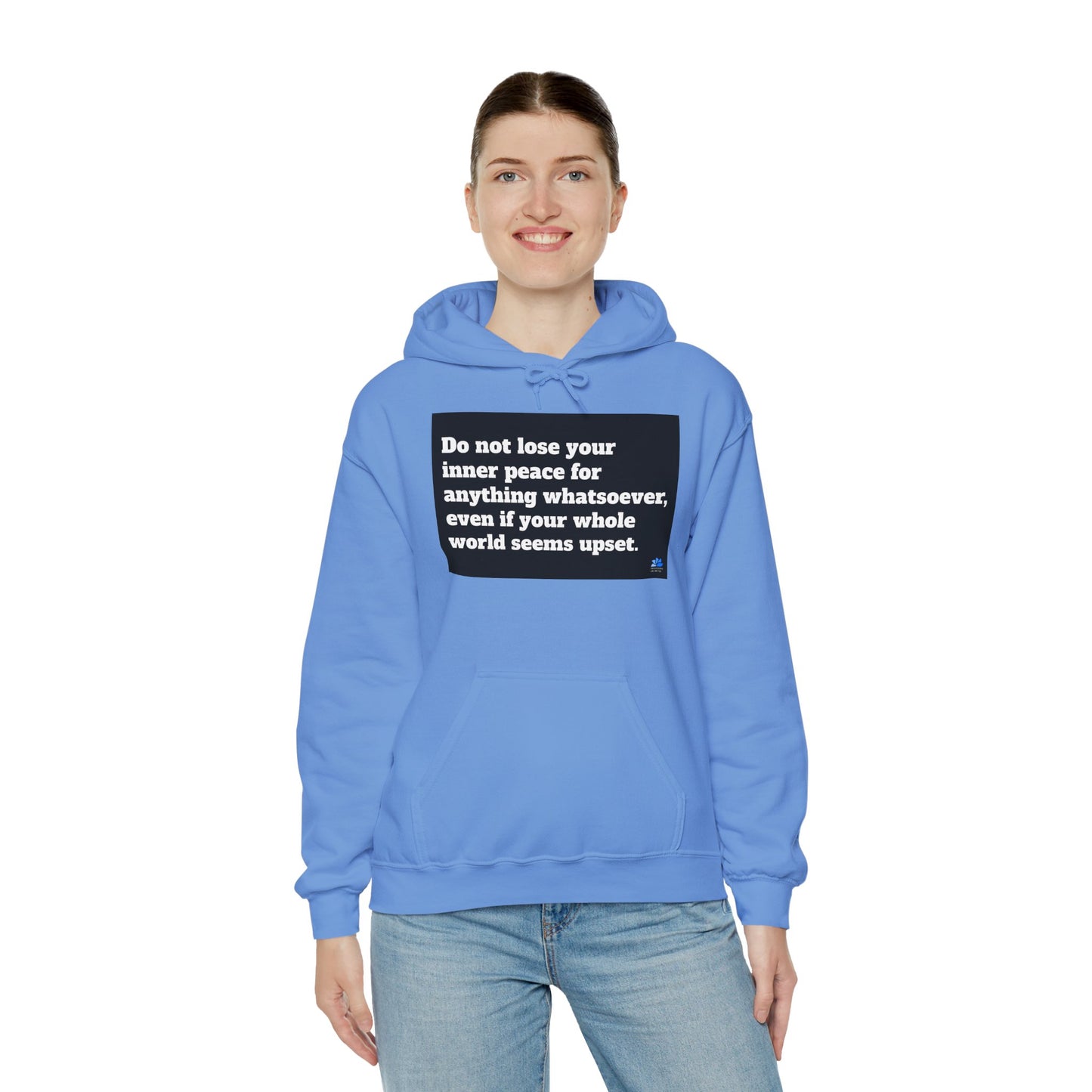 Back In Peace Unisex Heavy Blend ™ Hettegenser: Saint Francis de Sales Quotes