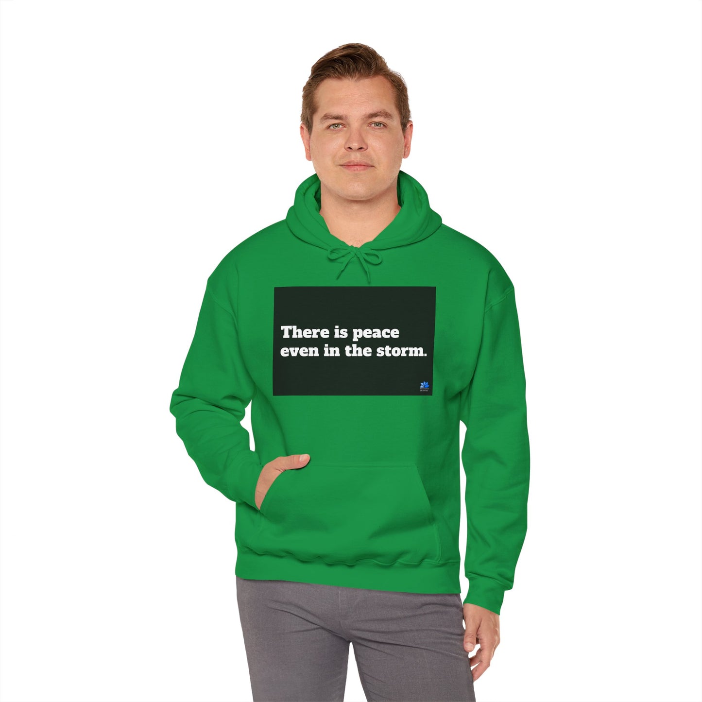 Back In Peace Unisex Heavy Blend ™ Hettegenser: Vincent van Gogh
