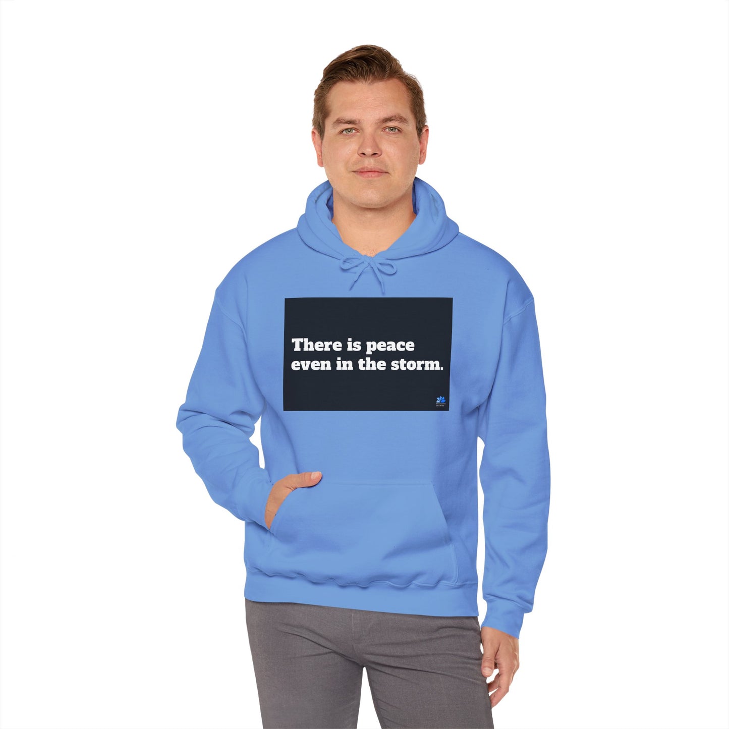Back In Peace Unisex Heavy Blend ™ Hettegenser: Vincent van Gogh